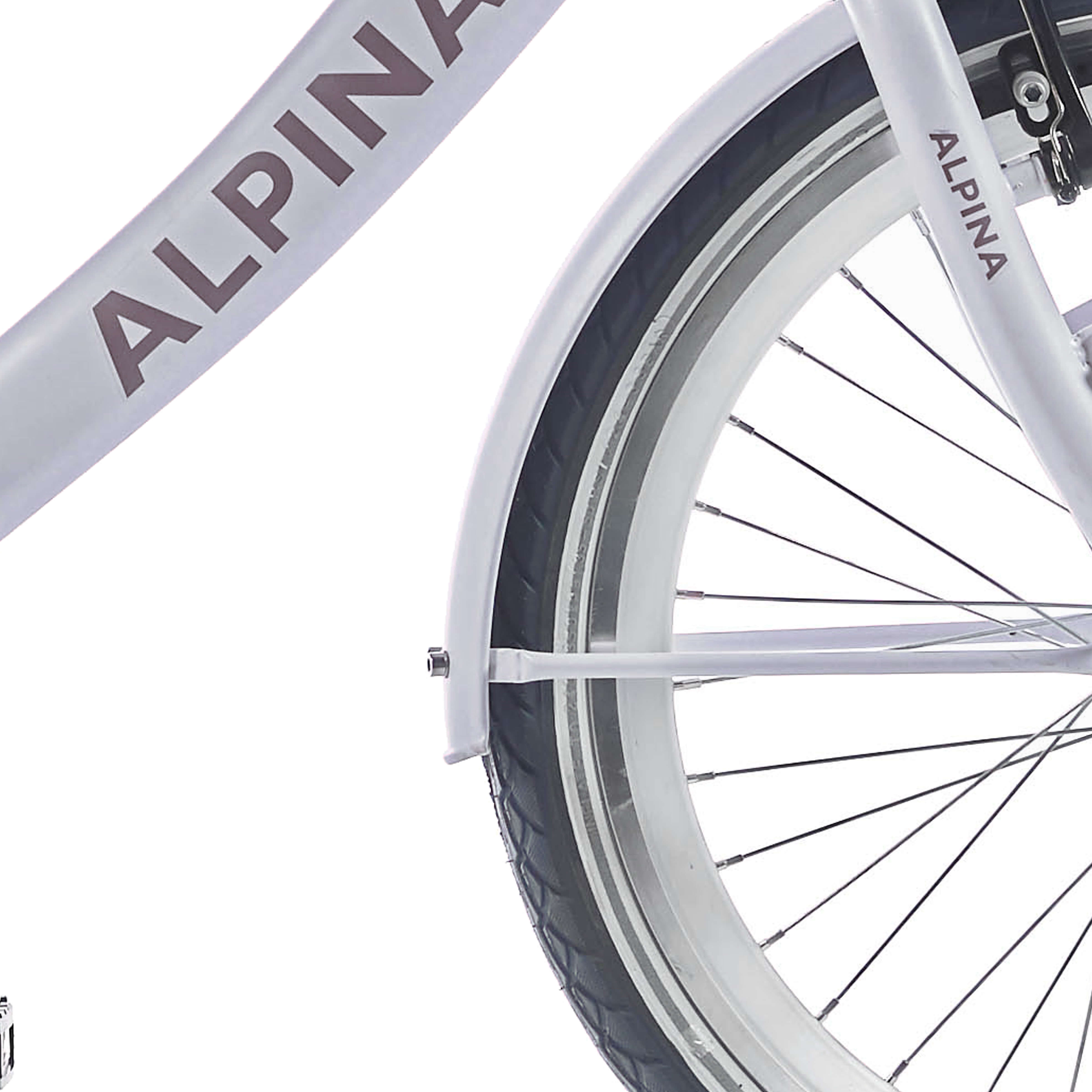 Alpina spatbord set 22 clubb frosty pink matt afbeelding