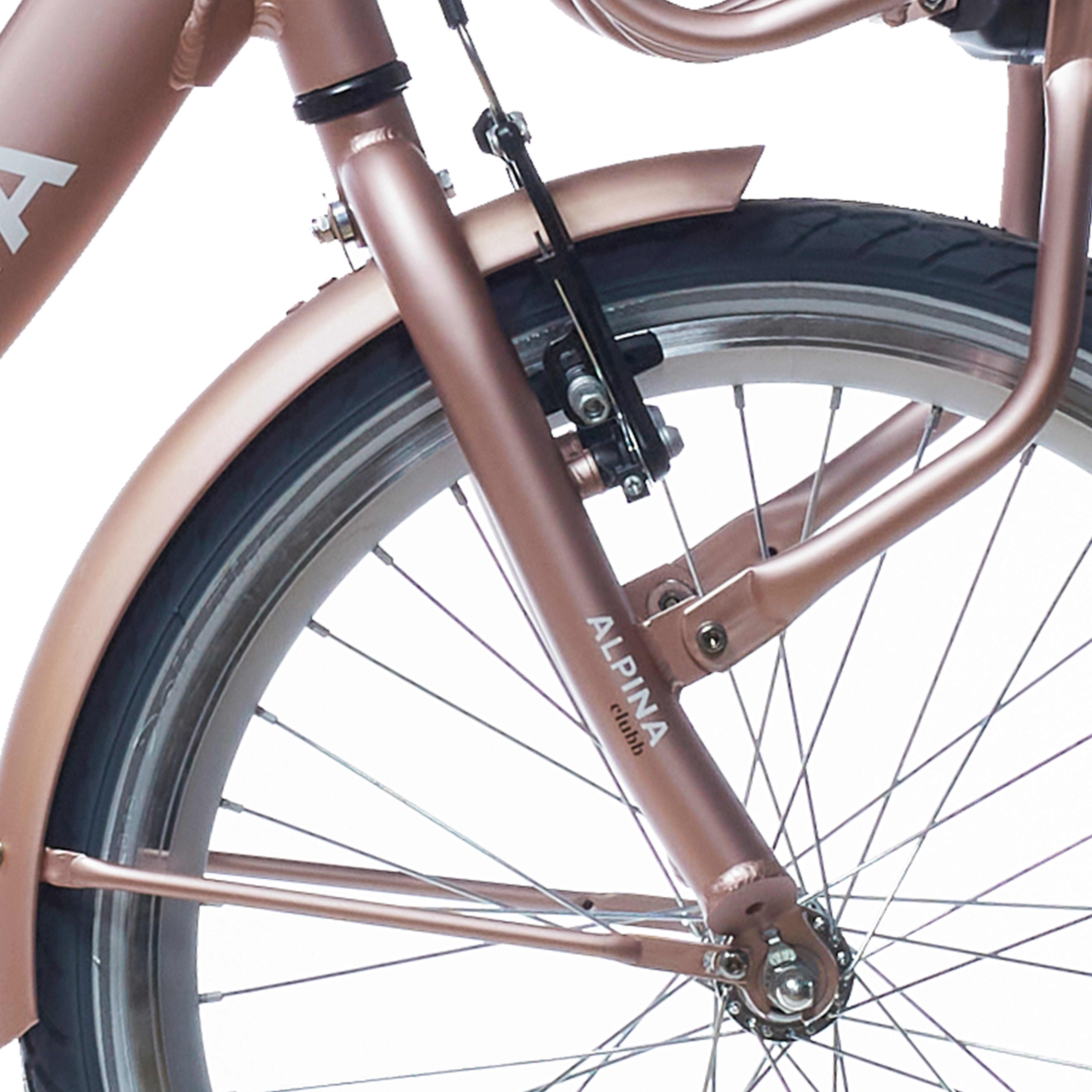 Alpina voorvork 20 clubb rose gold matt afbeelding