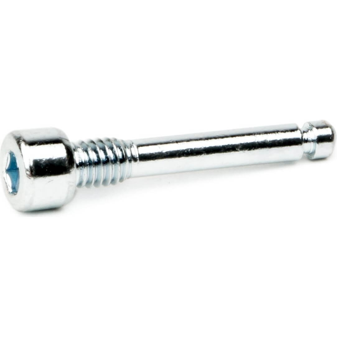 Elvedes Ds bevestigingsbout m4x22 (10) afbeelding
