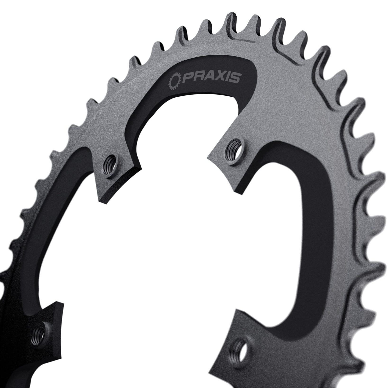 Praxis kettingblad 1x e-ring 110bcd m8 42t