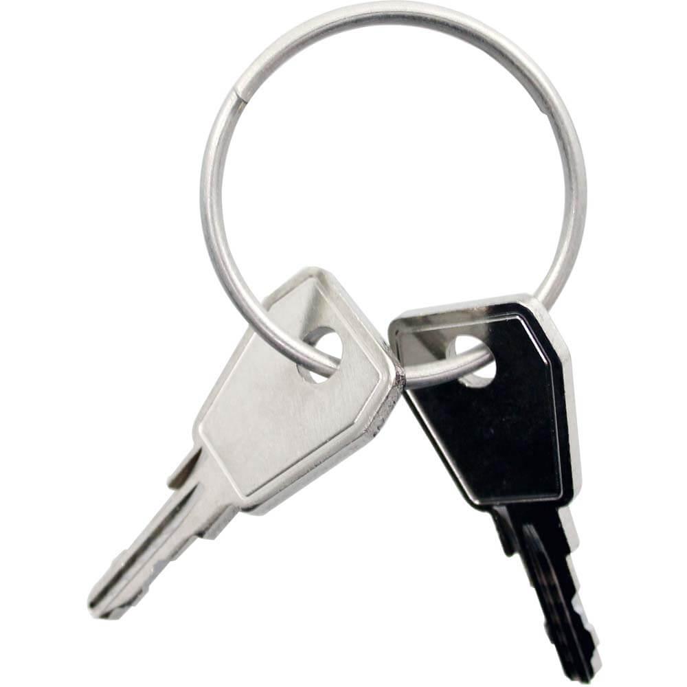 Yepp Thule sleutel nexxt p1 2 stuks